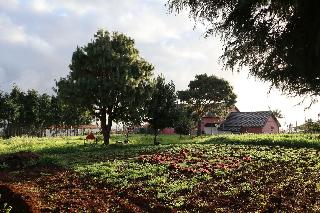 Casa D'Avó Beatriz fotoÄŸrafÄ±