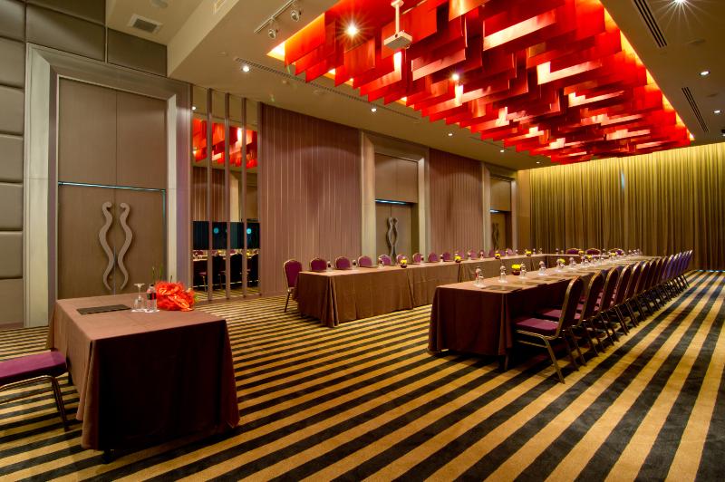 Way Hotel - Toplantı