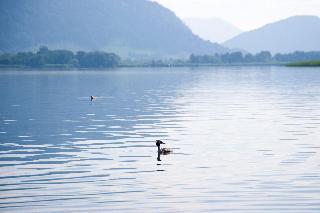 Feriendorf Maltschacher See fotoÄŸrafÄ±