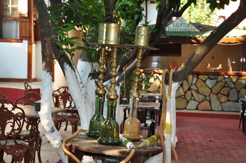 KALİPTUS HOTEL - Bar