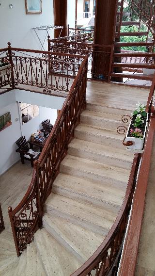 KALİPTUS HOTEL fotoÄŸrafÄ±