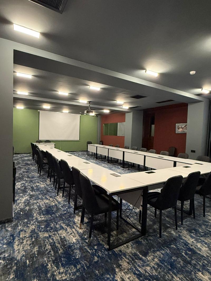 Hotel Splendid Tbilisi - Toplantı