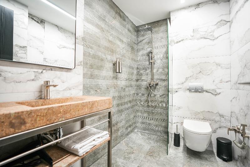 Hotel Splendid Tbilisi - Genel