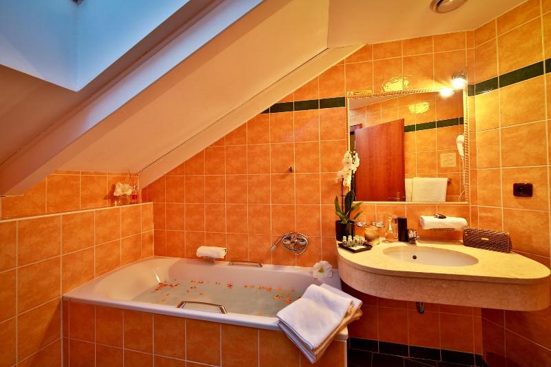 Carlton Hotel Prague - Oda