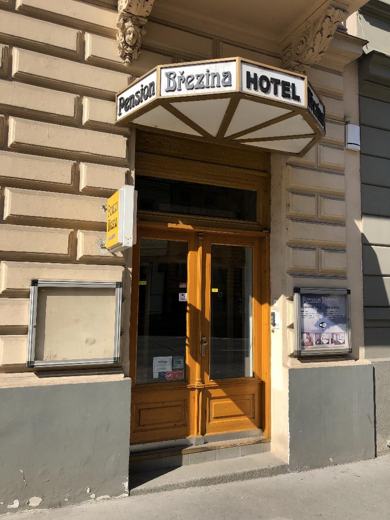 Brezina - Genel