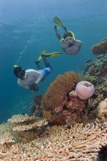 Dusit Thani Maldives fotoÄŸrafÄ±