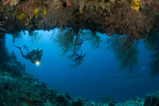 Dusit Thani Maldives fotoÄŸrafÄ±