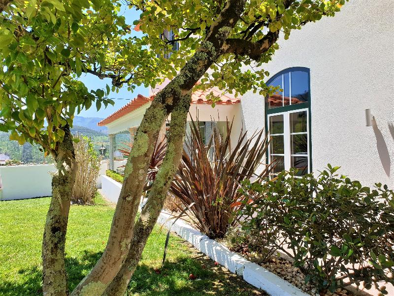 Quinta da Palmeira - Country House Retreat & Spa - Genel