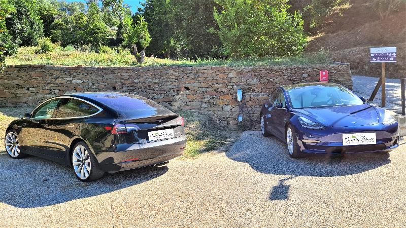 Quinta da Palmeira - Country House Retreat & Spa - Genel