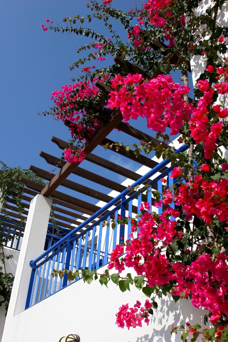 Aliathon Resort - Genel