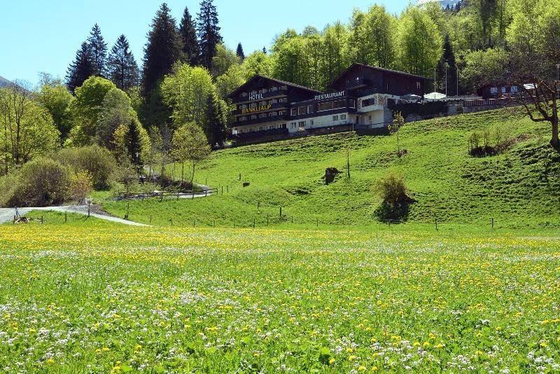 Hotel Bänklialp - Genel