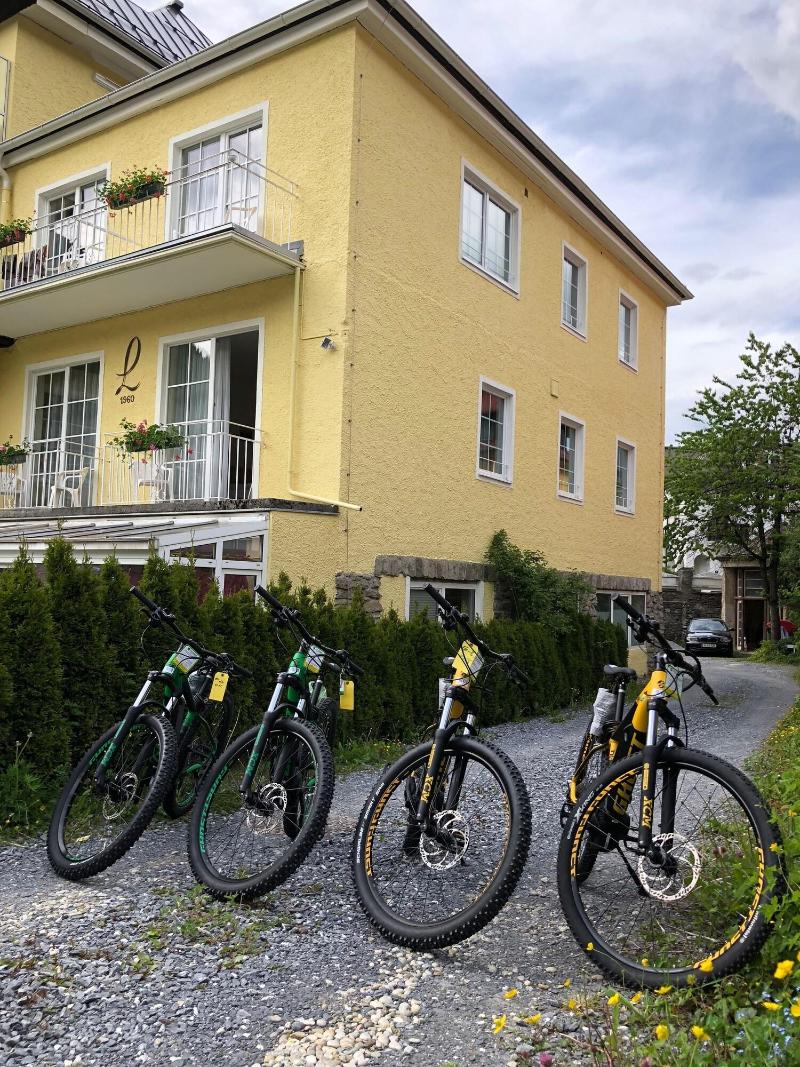 Der Lindenhof - Aktivite