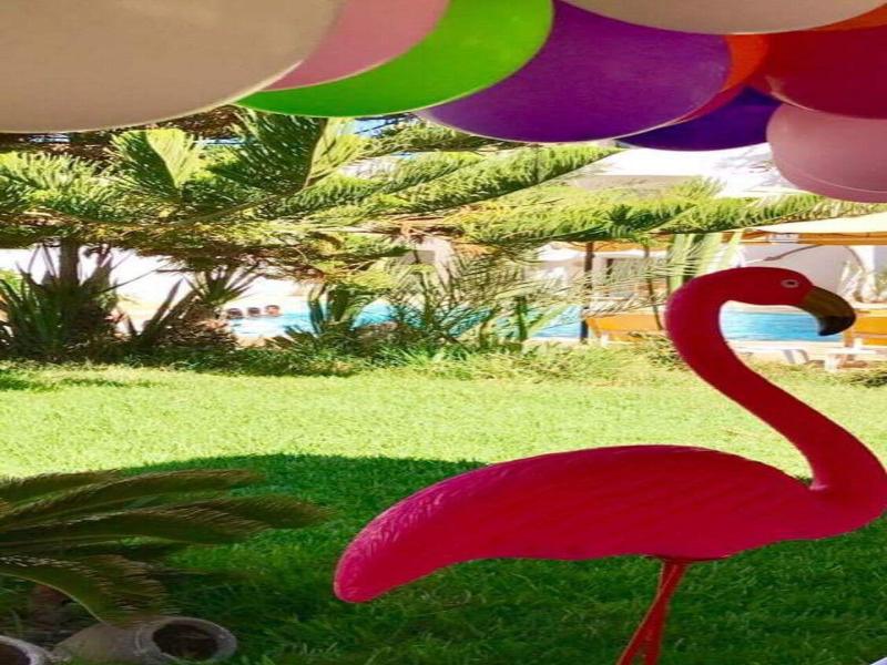 Djerba Orient - Teras