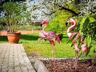 Ibis Styles Linz fotoÄŸrafÄ±