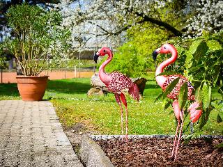 Ibis Styles Linz fotoÄŸrafÄ±