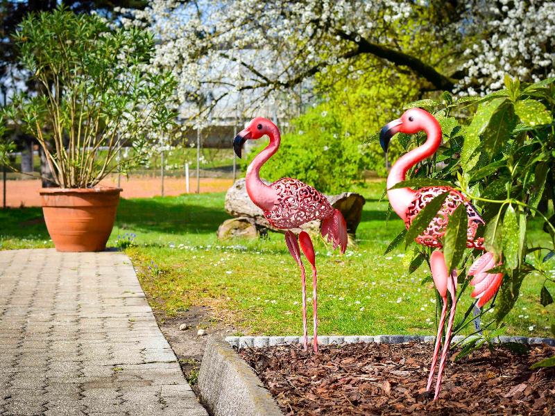 Ibis Styles Linz - Aktivite