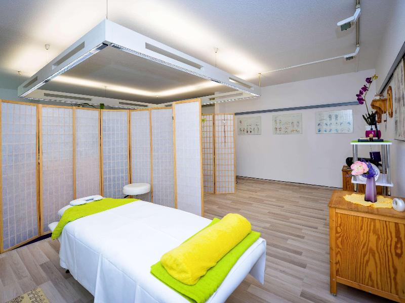 Ibis Styles Linz - Aktivite