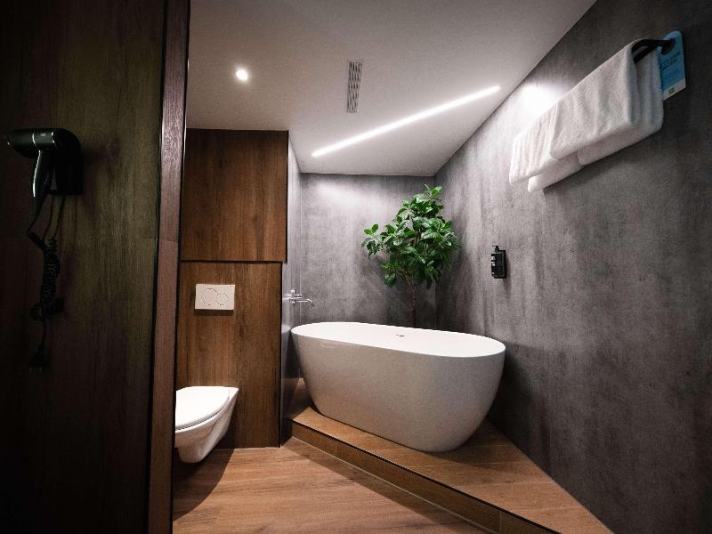Ibis Styles Linz - Oda