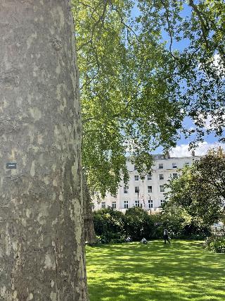 Eccleston Square London fotoÄŸrafÄ±