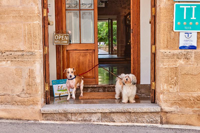 Son Sant Jordi Boutique House - Genel