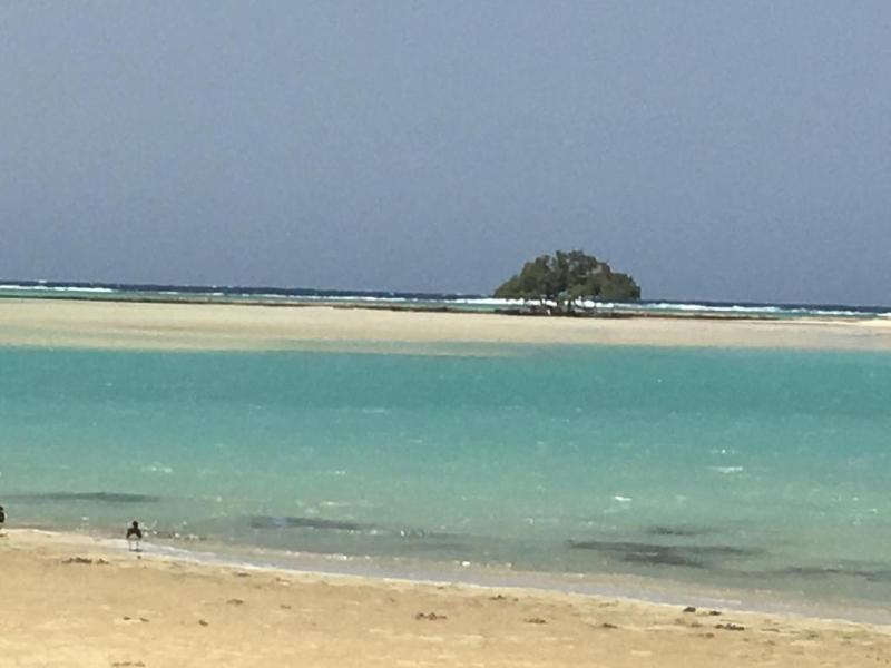 Cardina Resort - Genel