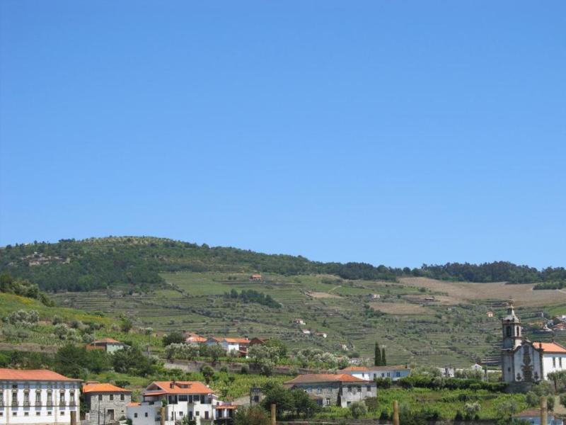 Douro Scala - Oda