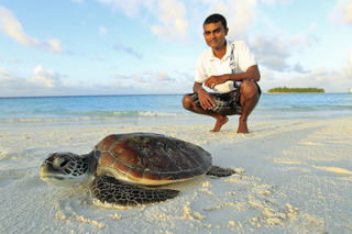 Banyan Tree Maldives Vabbinfaru fotoÄŸrafÄ±