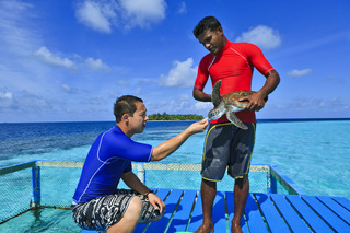 Banyan Tree Maldives Vabbinfaru fotoÄŸrafÄ±