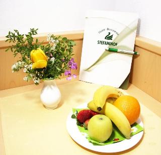 Stefanihof Hotel fotoÄŸrafÄ±