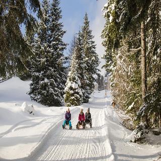 Jufa Gastehaus Steinach fotoÄŸrafÄ±