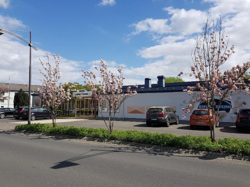 Eifelstern Hotel - Genel