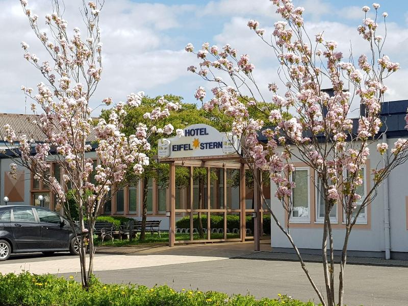 Eifelstern Hotel - Genel