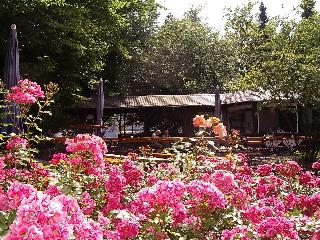 Eifelstern Hotel fotoÄŸrafÄ±