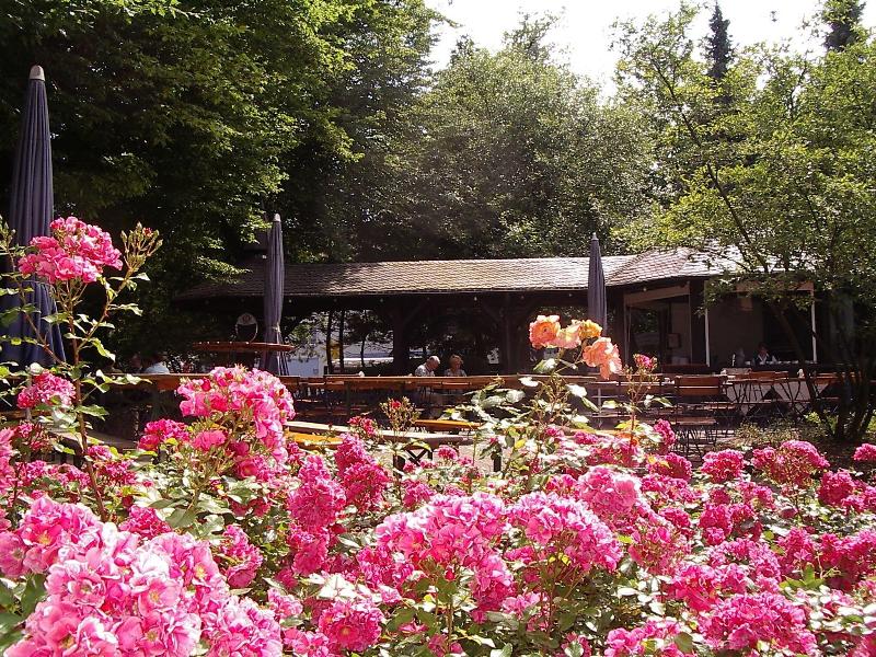 Eifelstern Hotel - Teras