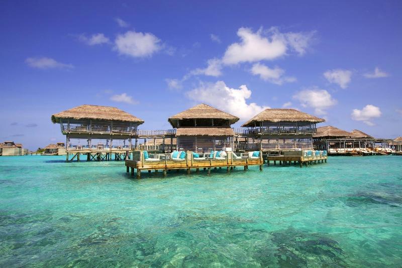Six Senses Laamu - Bar