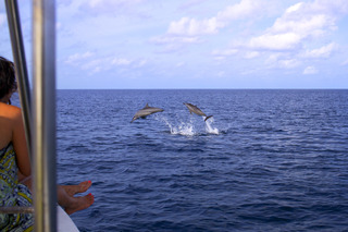 Six Senses Laamu fotoÄŸrafÄ±