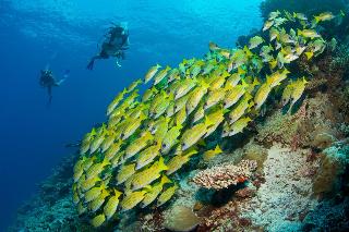 Six Senses Laamu fotoÄŸrafÄ±