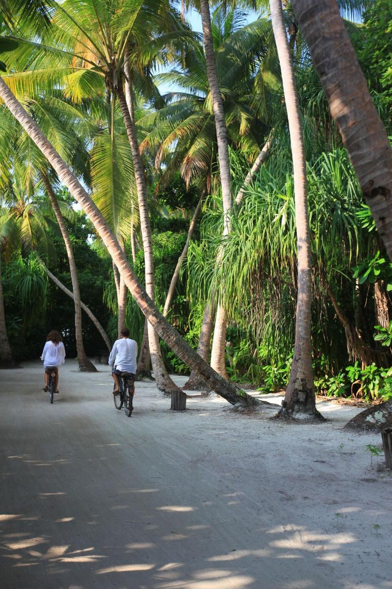 Soneva Fushi - Aktivite