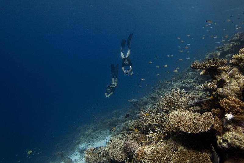 Soneva Fushi - Genel