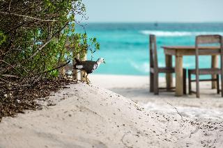 Soneva Fushi fotoÄŸrafÄ±