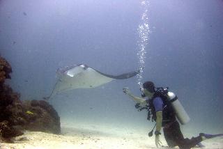 Gili Lankanfushi Maldives fotoÄŸrafÄ±