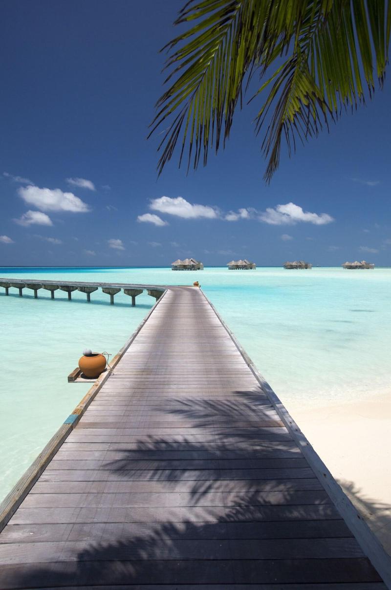 Gili Lankanfushi Maldives - Genel