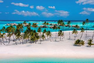 Gili Lankanfushi Maldives fotoÄŸrafÄ±