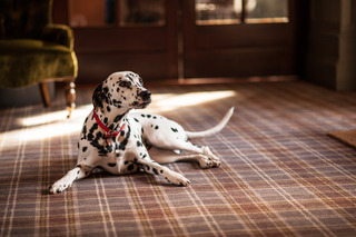 Balmoral Arms (Formerly Deeside Inn ) fotoÄŸrafÄ±