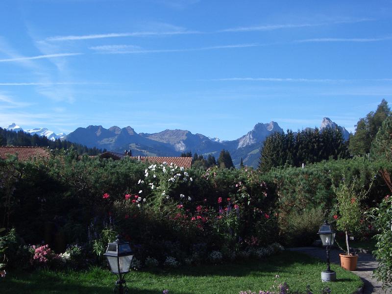GOLFHOTEL Les Hauts de Gstaad & SPA - Teras