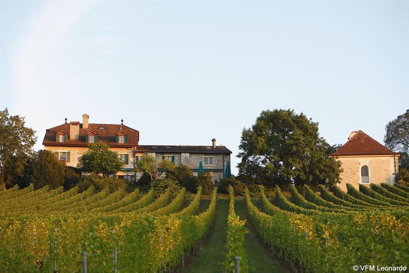 Domaine de Chateauvieux - Genel