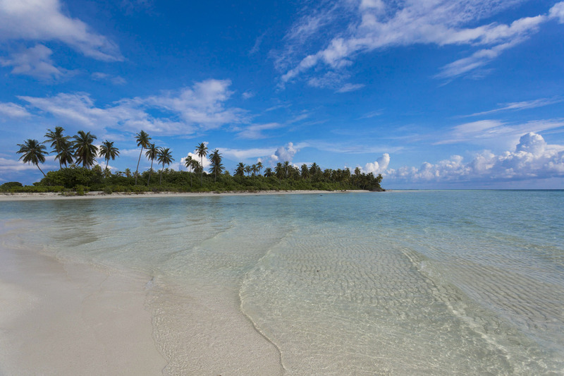 Reveries Diving Village - Aktivite