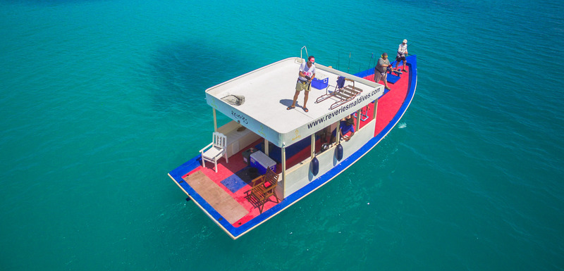 Reveries Diving Village - Aktivite