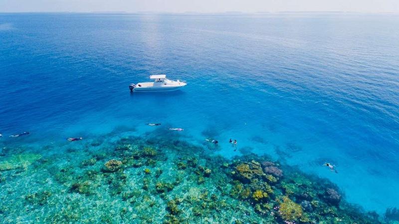 Reveries Diving Village - Aktivite