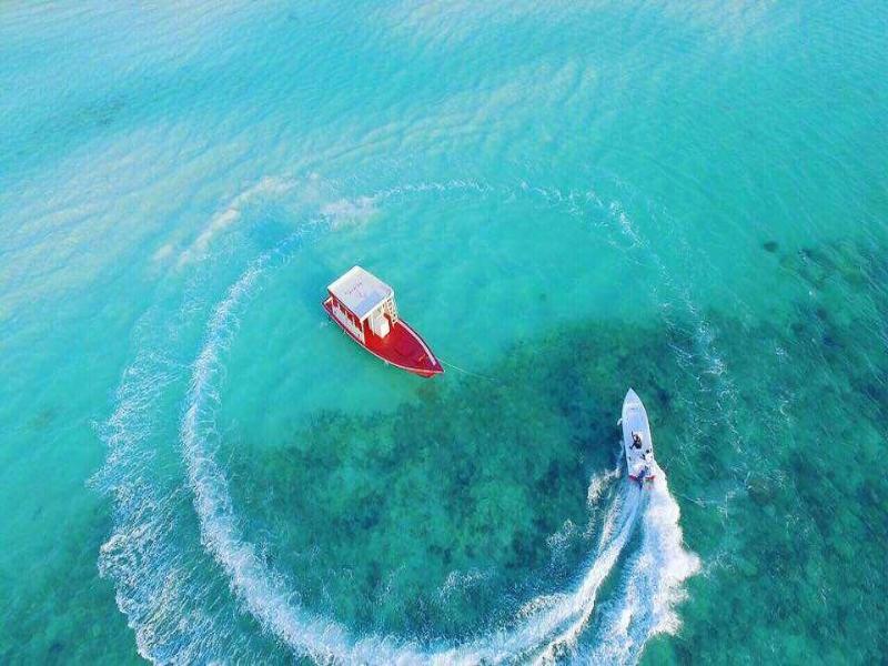 Reveries Diving Village - Aktivite